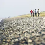 Briesenick-radde Strandmuschel Tossens Daire