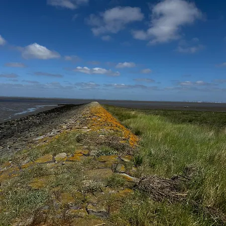 Briesenick-radde Strandmuschel * Tossens